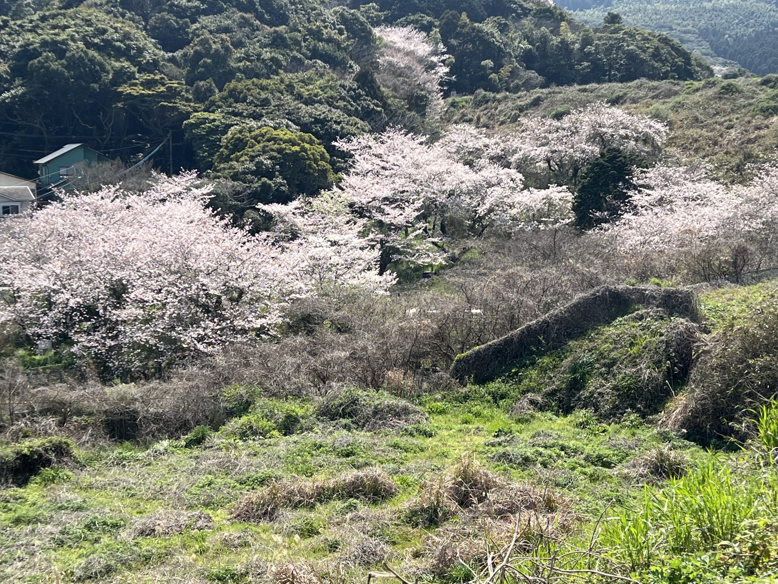 😱😭反省しております、お久しぶりです😱💦